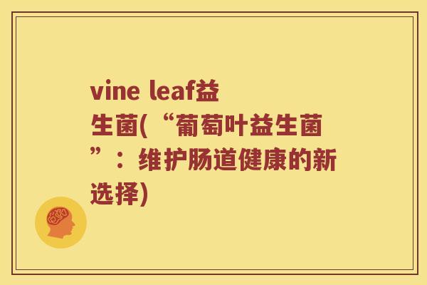 vine leaf益生菌(“葡萄叶益生菌”：维护肠道健康的新选择)