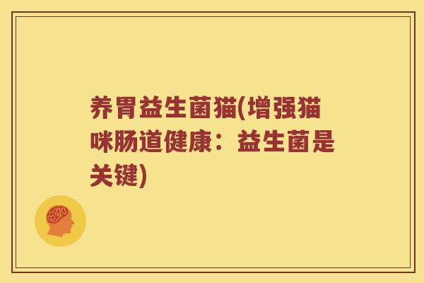 养胃益生菌猫(增强猫咪肠道健康：益生菌是关键)