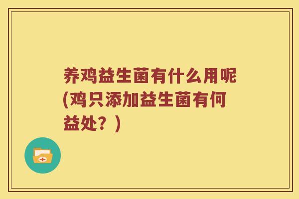 养鸡益生菌有什么用呢(鸡只添加益生菌有何益处？)