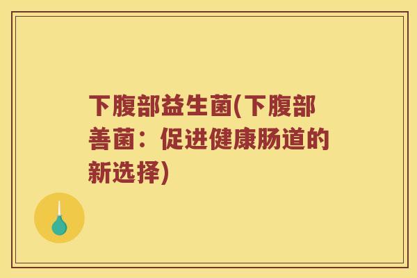 下腹部益生菌(下腹部善菌：促进健康肠道的新选择)