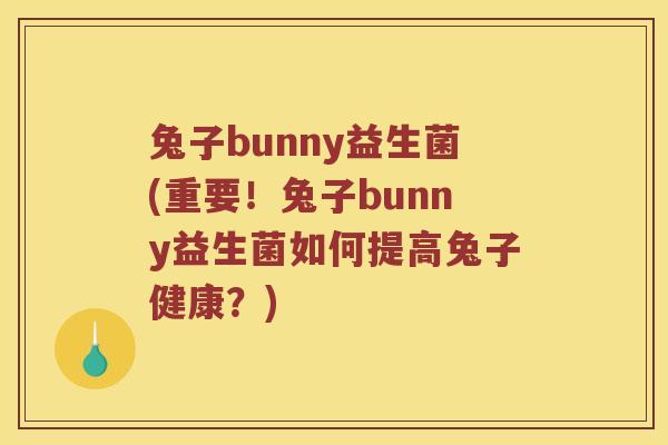 兔子bunny益生菌(重要！兔子bunny益生菌如何提高兔子健康？)