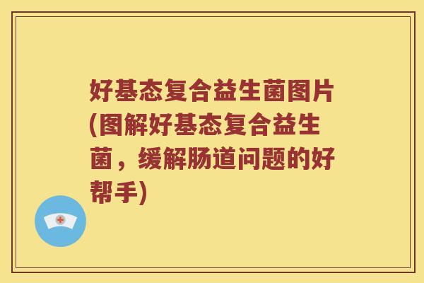 好基态复合益生菌图片(图解好基态复合益生菌,缓解肠道问题的好帮手) 好基态复合益生菌图片(图解好基态复合益生菌,缓解肠道问题的好帮手)