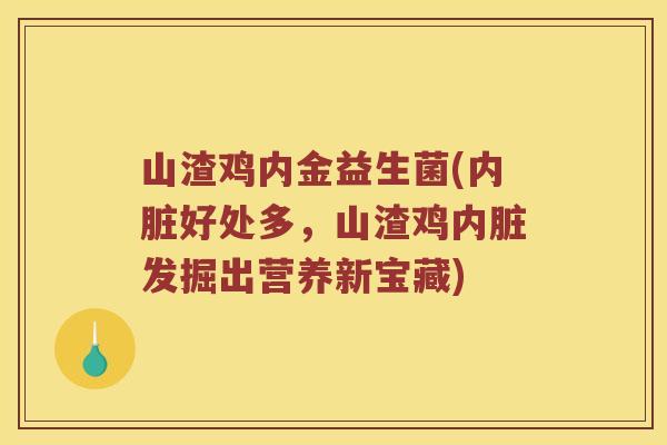 山渣鸡内金益生菌(内脏好处多，山渣鸡内脏发掘出营养新宝藏)