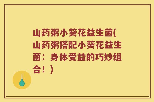山药粥小葵花益生菌(山药粥搭配小葵花益生菌：身体受益的巧妙组合！)