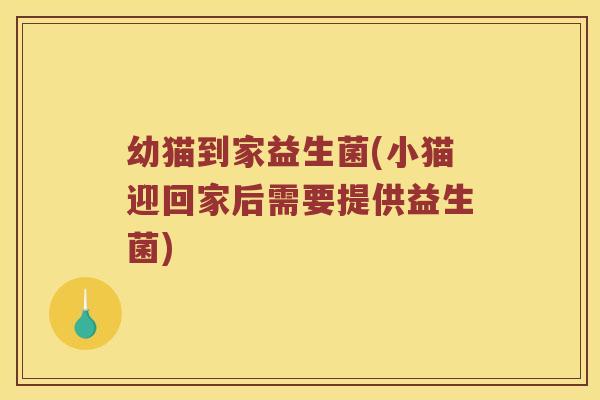 幼猫到家益生菌(小猫迎回家后需要提供益生菌) 幼猫到家益生菌(小猫迎回家后需要提供益生菌)