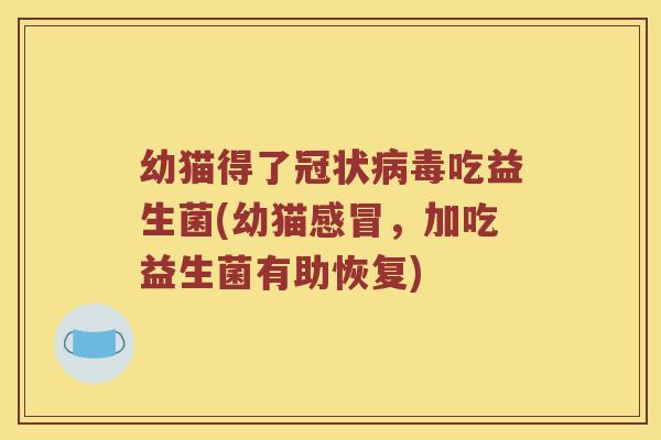 幼猫得了冠状吃益生菌(幼猫,加吃益生菌有助恢复) 幼猫得了冠状吃益生菌(幼猫,加吃益生菌有助恢复)