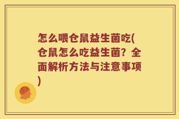 怎么喂仓鼠益生菌吃(仓鼠怎么吃益生菌?全面解析方法与注意事项) 怎么喂仓鼠益生菌吃(仓鼠怎么吃益生菌?全面解析方法与注意事项)