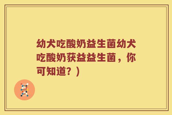 幼犬吃酸奶益生菌幼犬吃酸奶获益益生菌，你可知道？)