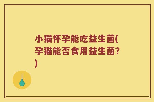 小猫怀孕能吃益生菌(孕猫能否食用益生菌？)