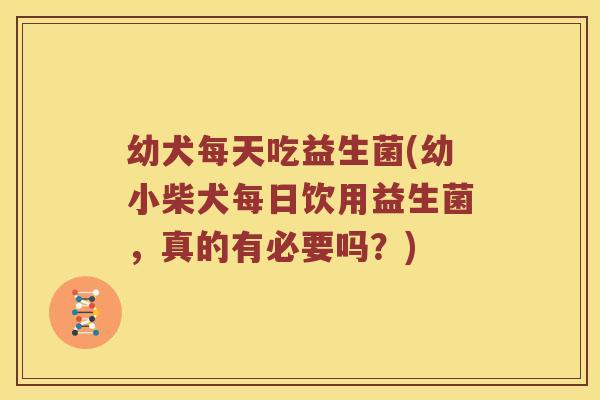 幼犬每天吃益生菌(幼小柴犬每日饮用益生菌，真的有必要吗？)