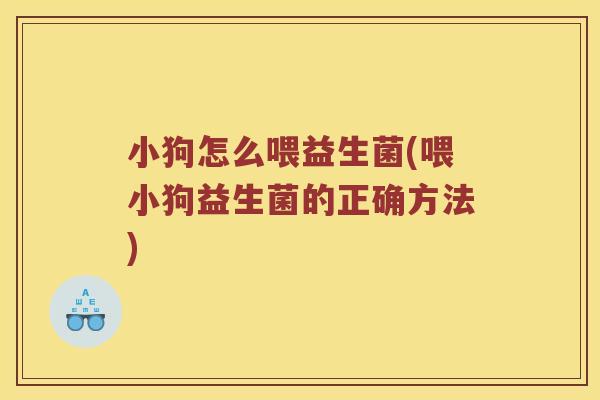小狗怎么喂益生菌(喂小狗益生菌的正确方法)