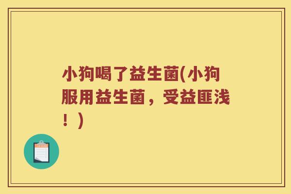 小狗喝了益生菌(小狗服用益生菌，受益匪浅！)