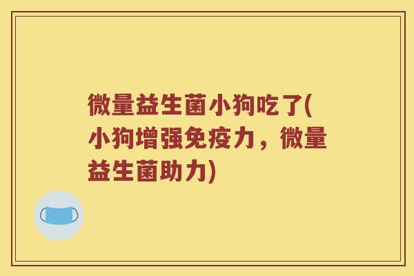 微量益生菌小狗吃了(小狗增强免疫力，微量益生菌助力)