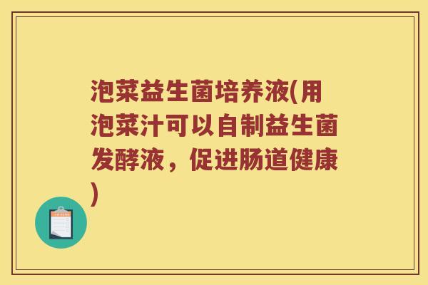 泡菜益生菌培养液(用泡菜汁可以自制益生菌发酵液，促进肠道健康)