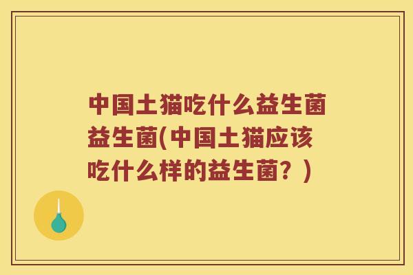 中国土猫吃什么益生菌益生菌(中国土猫应该吃什么样的益生菌？)
