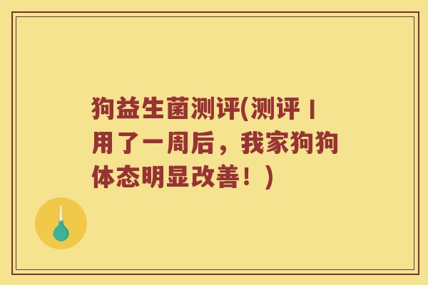 狗益生菌测评(测评丨用了一周后，我家狗狗体态明显改善！)