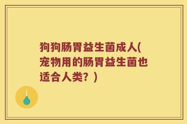 狗狗肠胃益生菌成人(宠物用的肠胃益生菌也适合人类?) 狗狗肠胃益生菌成人(宠物用的肠胃益生菌也适合人类?)