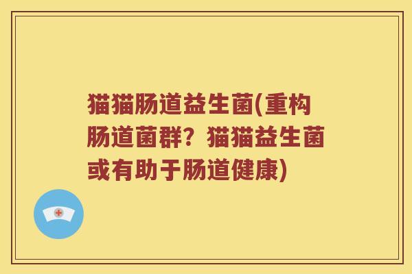 猫猫肠道益生菌(重构肠道菌群?猫猫益生菌或有助于肠道健康) 猫猫肠道益生菌(重构肠道菌群?猫猫益生菌或有助于肠道健康)
