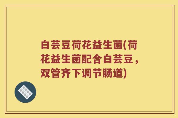 白芸豆荷花益生菌(荷花益生菌配合白芸豆，双管齐下调节肠道)