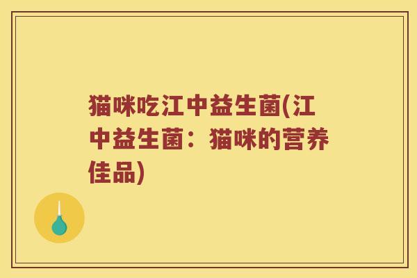猫咪吃江中益生菌(江中益生菌：猫咪的营养佳品)