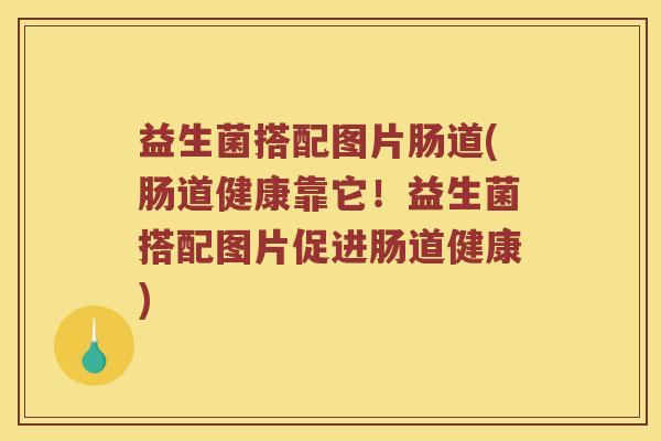 益生菌搭配图片肠道(肠道健康靠它！益生菌搭配图片促进肠道健康)