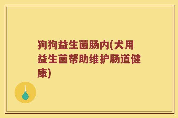 狗狗益生菌肠内(犬用益生菌帮助维护肠道健康)