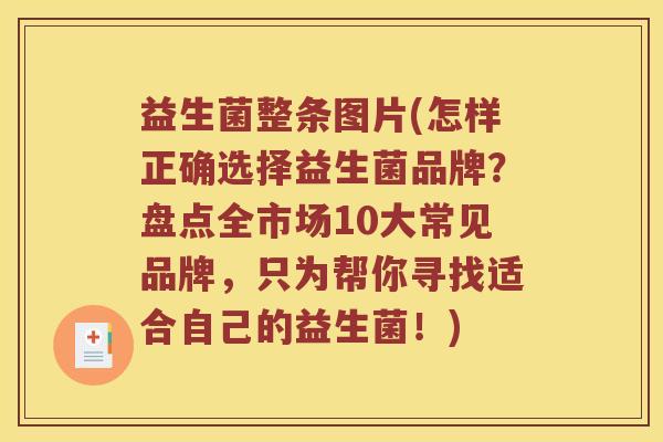 益生菌整条图片(怎样正确选择益生菌品牌？盘点全市场10大常见品牌，只为帮你寻找适合自己的益生菌！)