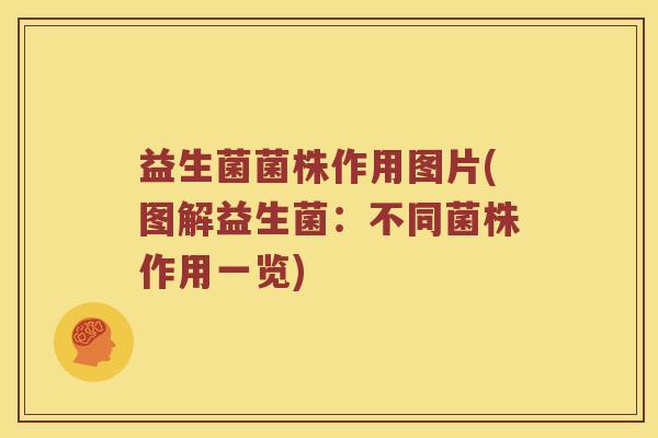 益生菌菌株作用图片(图解益生菌：不同菌株作用一览)