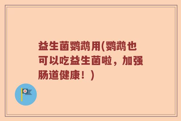 益生菌鹦鹉用(鹦鹉也可以吃益生菌啦，加强肠道健康！)