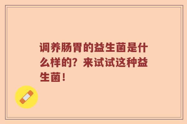 调养肠胃的益生菌是什么样的？来试试这种益生菌！