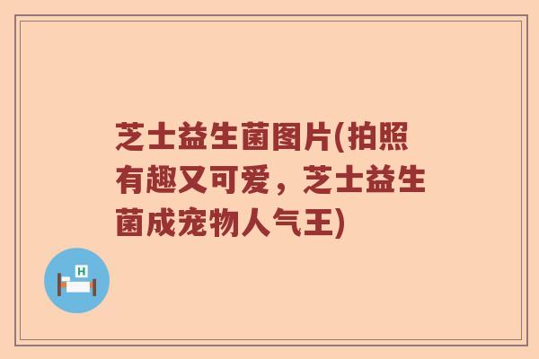 芝士益生菌图片(拍照有趣又可爱，芝士益生菌成宠物人气王)