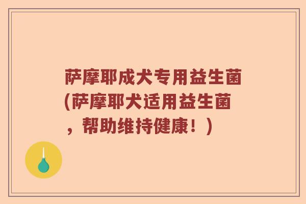 萨摩耶成犬专用益生菌(萨摩耶犬适用益生菌，帮助维持健康！)