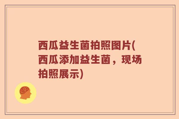 西瓜益生菌拍照图片(西瓜添加益生菌，现场拍照展示)