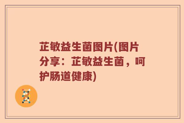 芷敏益生菌图片(图片分享：芷敏益生菌，呵护肠道健康)