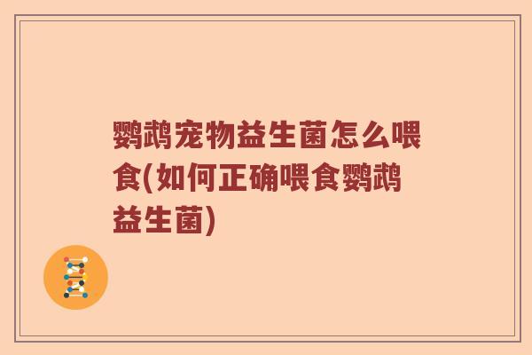鹦鹉宠物益生菌怎么喂食(如何正确喂食鹦鹉益生菌)