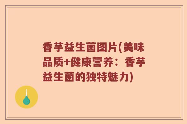 香芋益生菌图片(美味品质+健康营养：香芋益生菌的独特魅力)