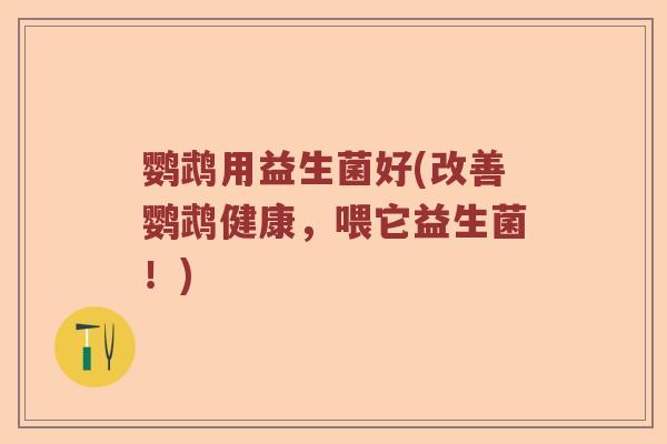 鹦鹉用益生菌好(改善鹦鹉健康，喂它益生菌！)