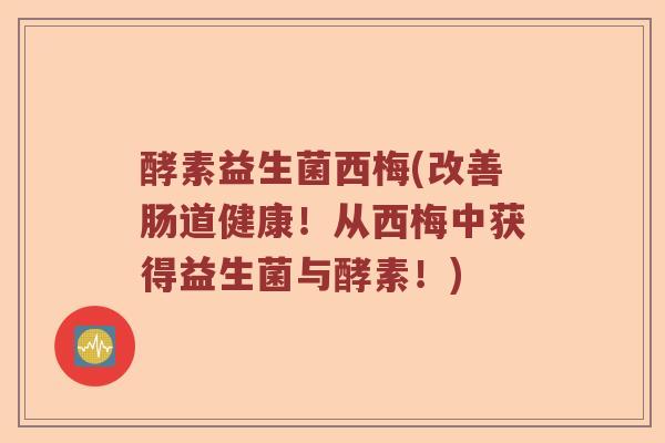 酵素益生菌西梅(改善肠道健康！从西梅中获得益生菌与酵素！)