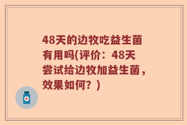 48天的边牧吃益生菌有用吗(评价：48天尝试给边牧加益生菌，效果如何？)