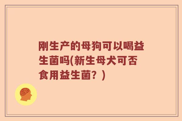 刚生产的母狗可以喝益生菌吗(新生母犬可否食用益生菌？)