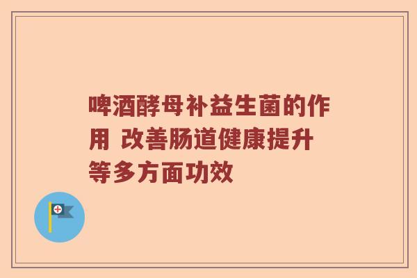 啤酒酵母补益生菌的作用 改善肠道健康提升等多方面功效