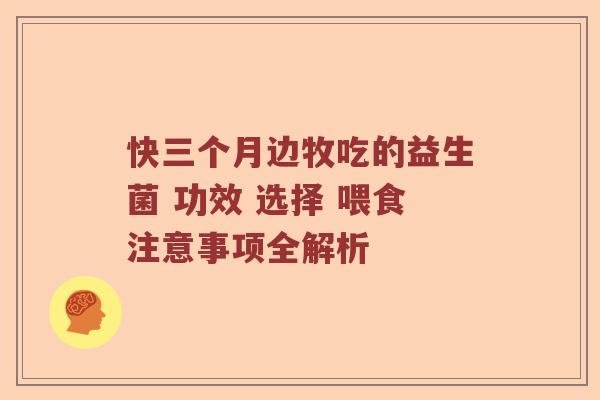 快三个月边牧吃的益生菌 功效 选择 喂食注意事项全解析