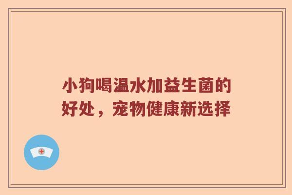 小狗喝温水加益生菌的好处，宠物健康新选择