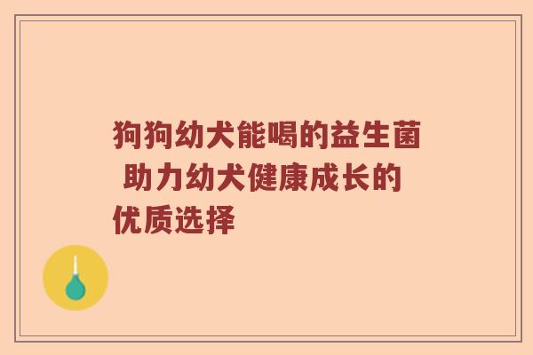 狗狗幼犬能喝的益生菌 助力幼犬健康成长的优质选择 狗狗幼犬能喝的益生菌 助力幼犬健康成长的优质选择