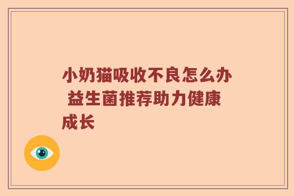 小奶猫吸收不良怎么办 益生菌推荐助力健康成长 小奶猫吸收不良怎么办 益生菌推荐助力健康成长