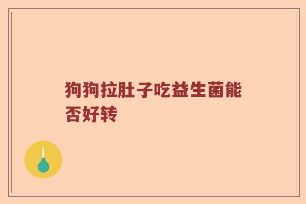 狗狗拉肚子吃益生菌能否好转