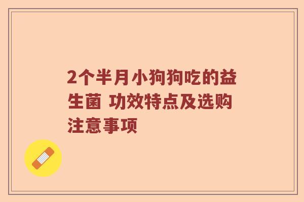 2个半月小狗狗吃的益生菌 功效特点及选购注意事项