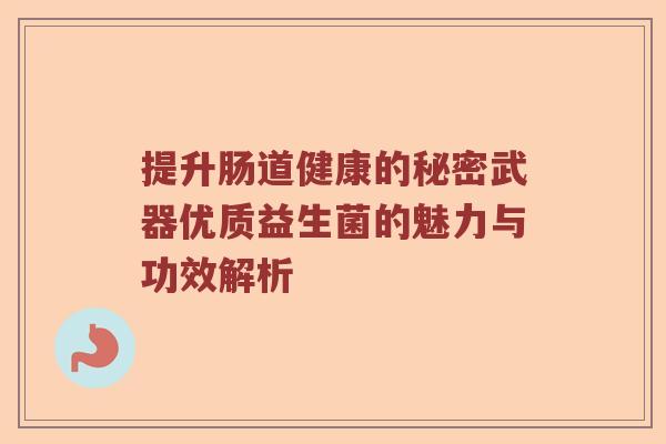 提升肠道健康的秘密武器优质益生菌的魅力与功效解析 提升肠道健康的秘密武器优质益生菌的魅力与功效解析