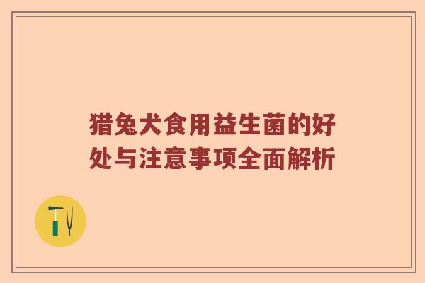 猎兔犬食用益生菌的好处与注意事项全面解析 猎兔犬食用益生菌的好处与注意事项全面解析