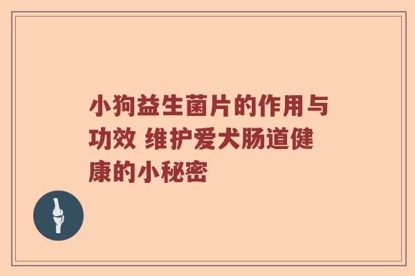 小狗益生菌片的作用与功效 维护爱犬肠道健康的小秘密
